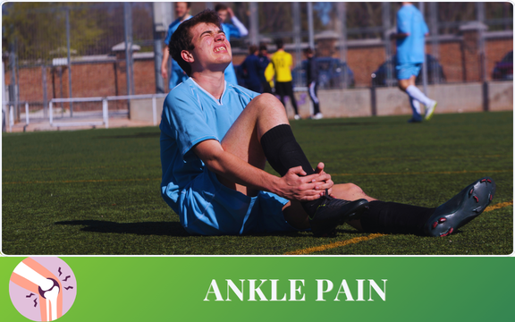 product physio (150 x 150 px) (576 x 360 px) (1)